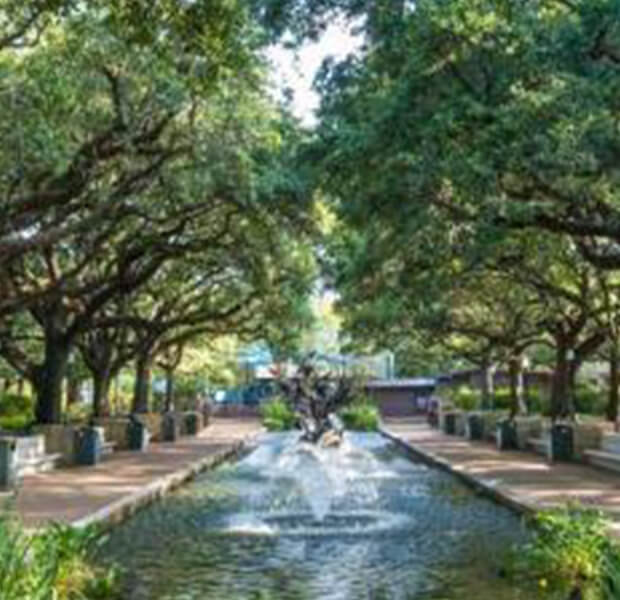 Museum District